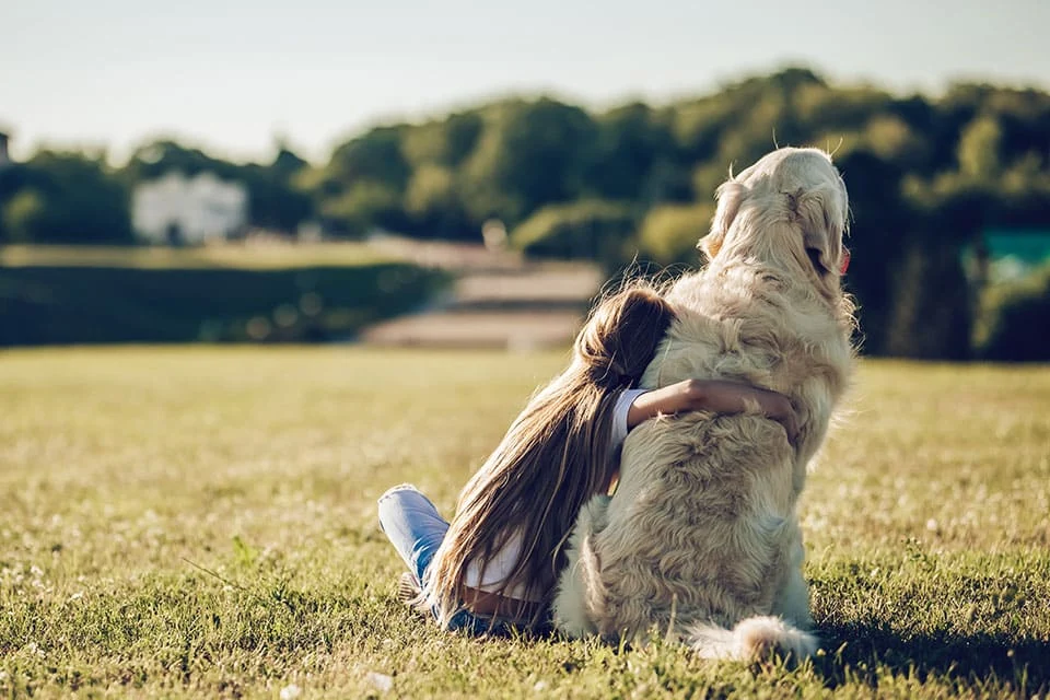 Creating a Peaceful Goodbye Music-Based Solutions for Pet End-of-Life Care